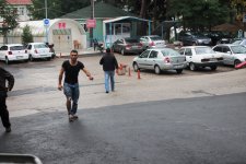 Acemi Kasaplar, İş Başında!