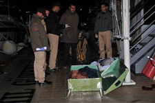 4 Minik Yaşam, Bir Tabuta Sığdı