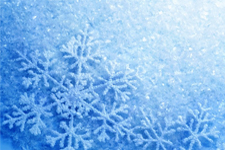 Serçe, Su İçmek isterken Suyla Birlikte Dondu