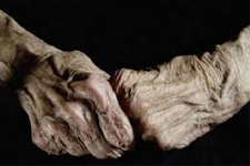 Yalnızlık, Ölüm…