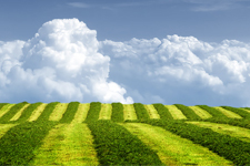 Tekirdağ Dolandırıcılık İddiasıyla Çalkalanıyor