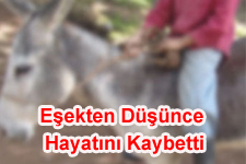 Eşekten Düşen Çoban Öldü