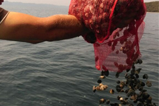Kaçakçılar Jandarma Ve Köylülerin İşbirliğiyle Yakalandı
