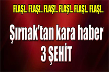 Şırnak'ta Şehit Sayısı 3 Yükseldi