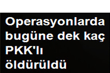 Operasyonlarda 260 Pkk?lı Hain Öldürüldü