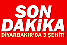 Lice'de Üç Asker Daha Şehit Oldu!