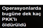 Türkiye - Operasyonlarda 260 Pkk?lı Hain Öldürüldü