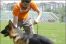 Köpek Eğitimi