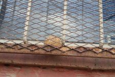 Hainler, bu kez İlkokulu Hedef Aldı!