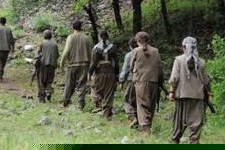 Aşiretlerin, PKK’lılar İçin İstekleri Reddedildi