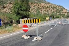 Tunceli’de 3 Şehidimiz Var