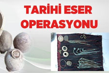 İlçe Tarım Müdürü Erbaş, Çayır Tırtıllarına Karşı Uyardı